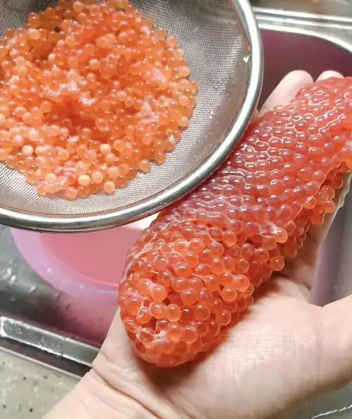 2019年海钓姥姥朋友送的海钓鲟鱼籽