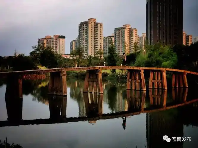 日前灵溪镇开启了玉苍路街景立面整治的序幕,改造路段西起公园路,东至