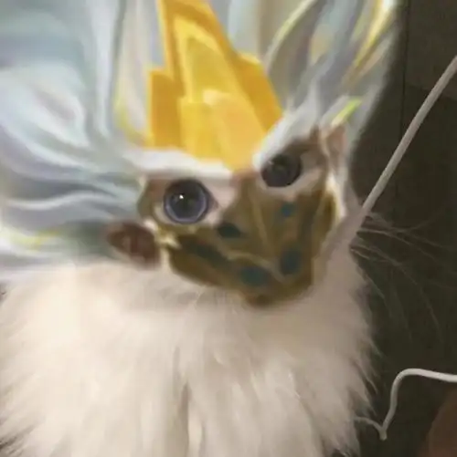 王者荣耀猫咪头像