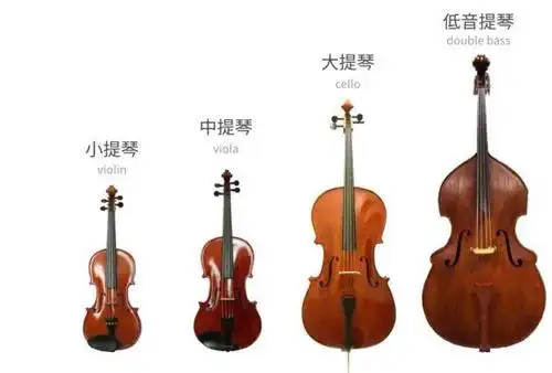 科普悦趣教你认识最常见的管弦乐团乐器悦趣音乐中心