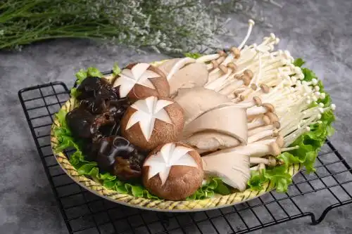 菌类拼盘 henp202106