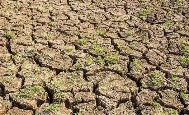 从而加重土壤残留使土壤问题更严重! 4.
