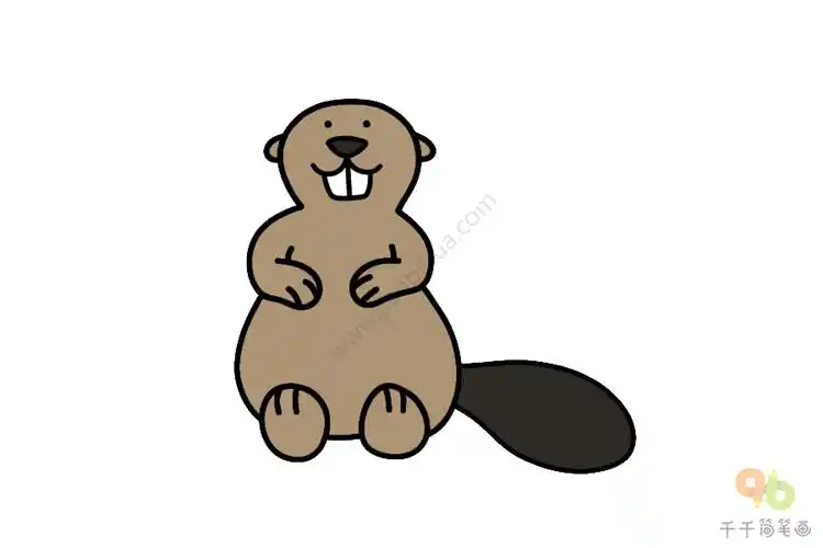 一步一步教画河狸_陆地动物简笔画