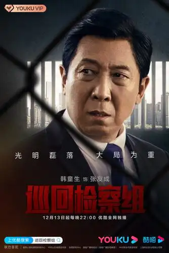 巡回检察组海报 6 poster