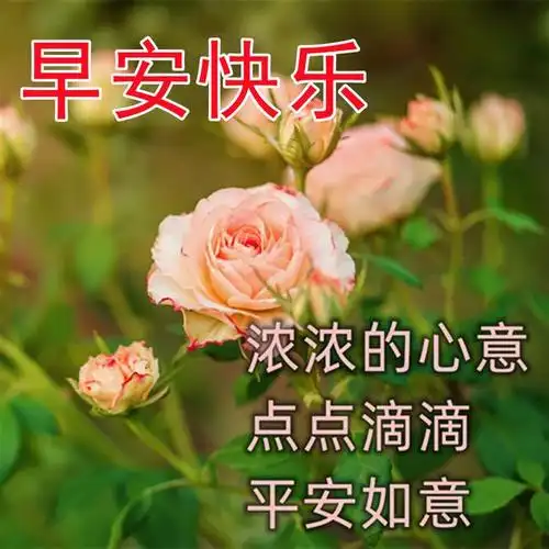 早上好温馨问候语大全 大家早上好祝福语加图片 朋友早晨问候语