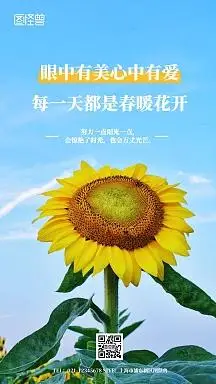 向日葵积极心态摄影图海报企业商用简约风向日葵招聘摄影图海报向日葵