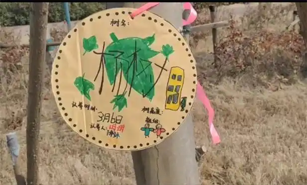 烟台高新区开展爱绿植绿护绿兴绿系列教育活动