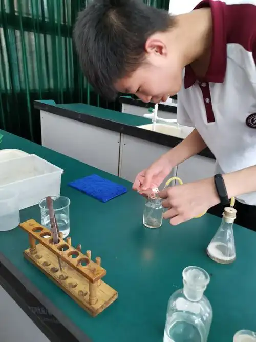 瞧,二氧化碳制取成功验满!