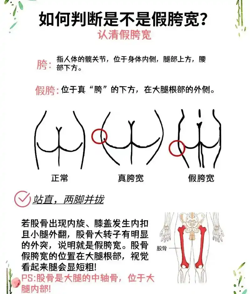 教你分清是"假胯宽"还是"真胯宽"#改善体态 #健身 #假胯 - 抖音