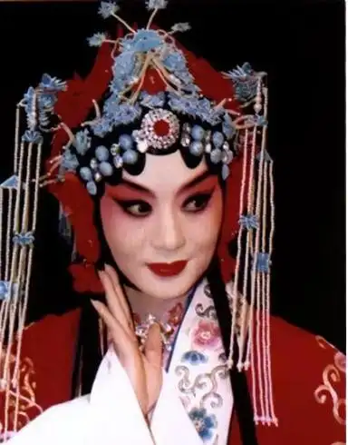 57岁李胜素不会做饭不会做家务四个绯闻老公没有一个是真的