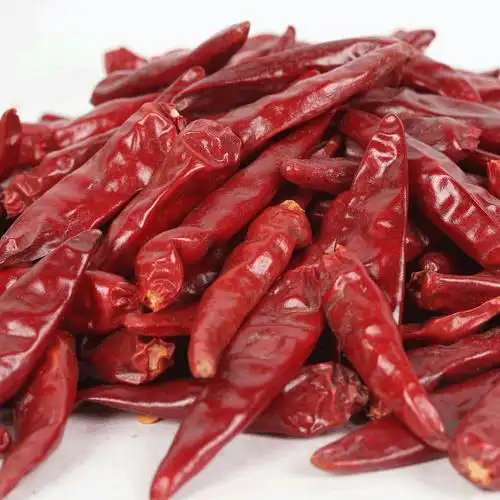 产地货源特辣内黄新一代朝天椒辣椒干河南干辣椒【1件25斤】包邮
