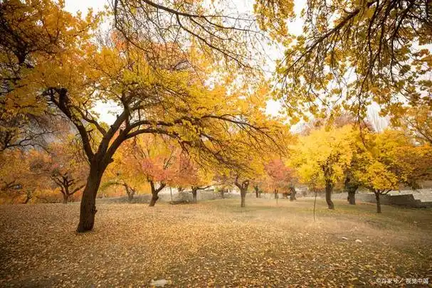 关于秋天的随笔几句