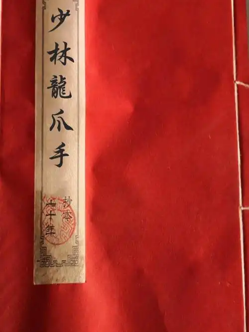 武功古籍少林龙爪手