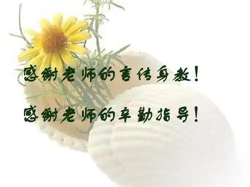 所有分类 高等教育 研究生入学考试 研究生中期考核模板ppt 第9页 (共