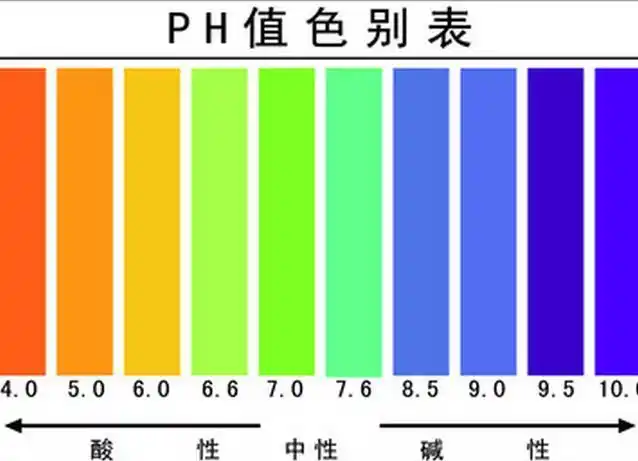 尿检蛋白1 酸碱度5