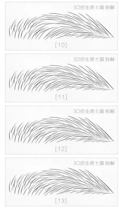 简笔画眉毛的画法步骤图