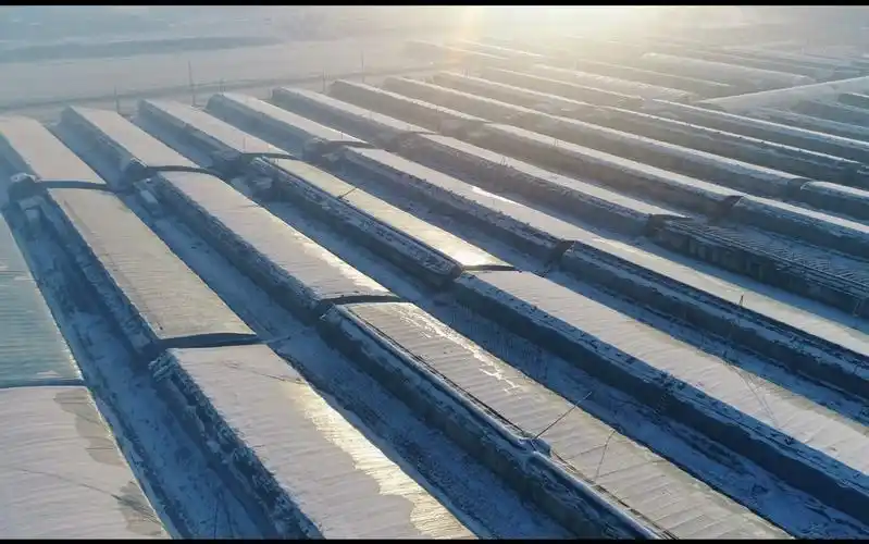 雪后的蔬菜大棚,大疆精灵4a拍摄