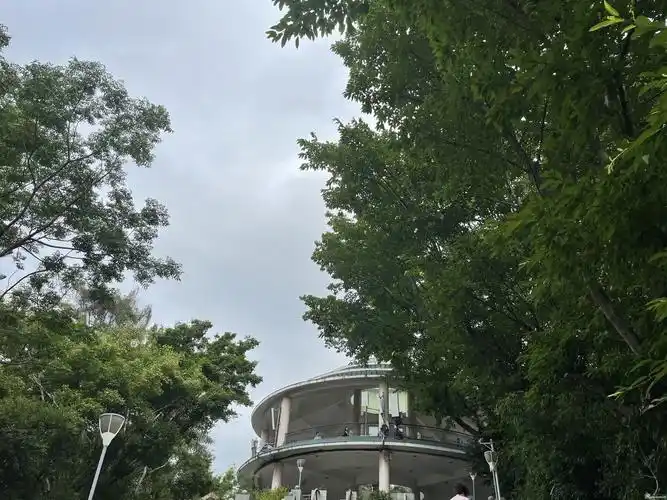 碧海湾公园 - 我说深圳事 - 深圳论坛