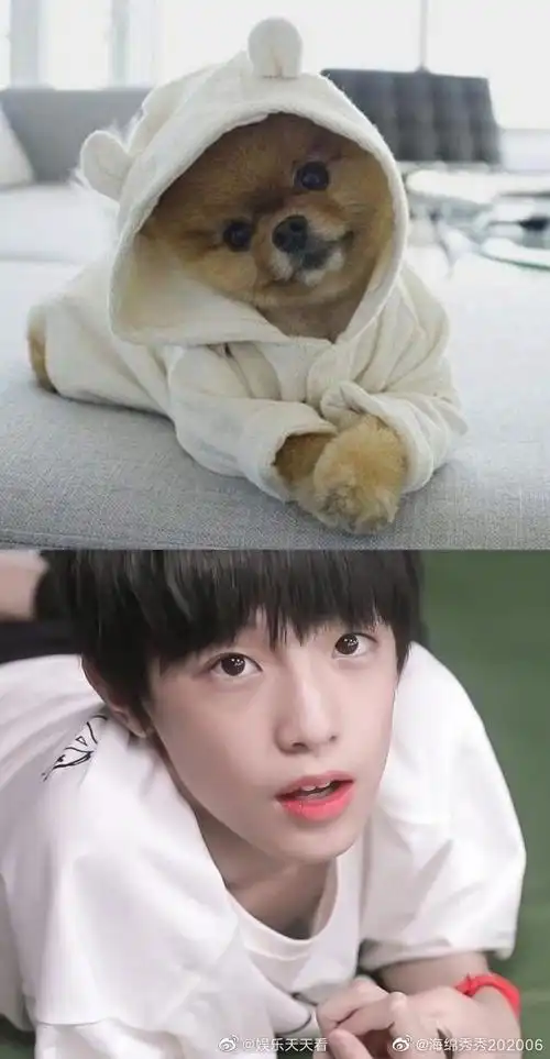 张泽禹 第一主唱##张泽禹 乘势而上青云