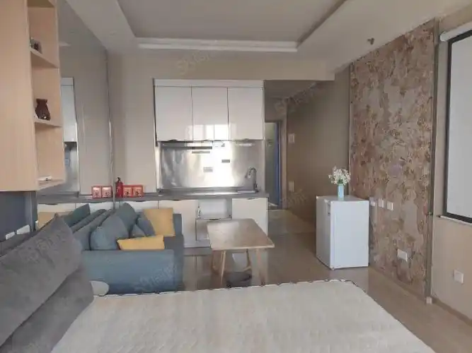 家具家电齐全大阅城精装公寓出租拎包入住随时看房繁华地段采光好