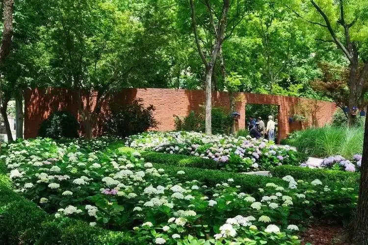 荣获沪上最美街心花园一二等奖静安这些口袋公园你逛过吗