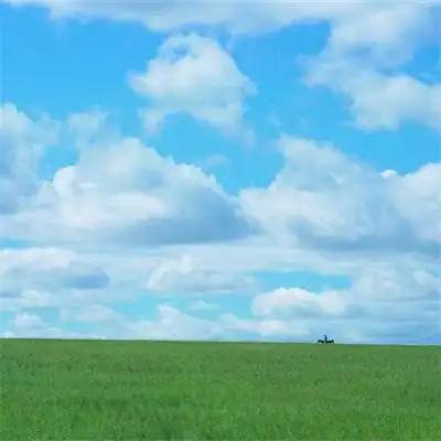 阳光风景头像很高清蓝天最美风景微信头像