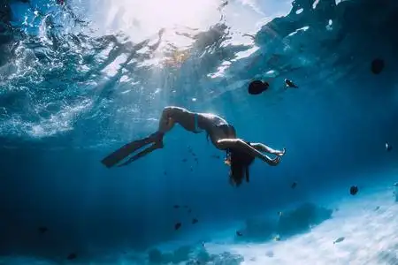 潜水员男子跳水套装图标白色潜水员跳入海里开始跳水潜水从跳水板潜水