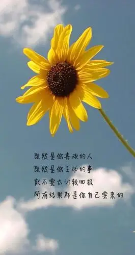 早安心语:最想说的话在眼睛里,草稿箱里,还有梦里