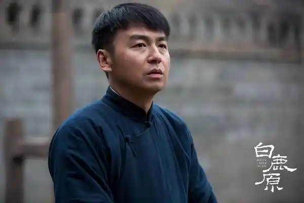 《白鹿原》热播 雷佳音遭酷刑命运未卜