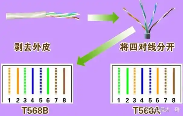 网线水晶头排线是网络通信中常用的一种连接方式.