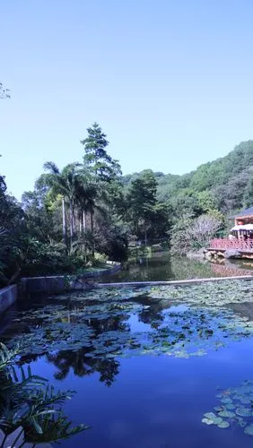 广州白云山云溪生态公园阳光明媚