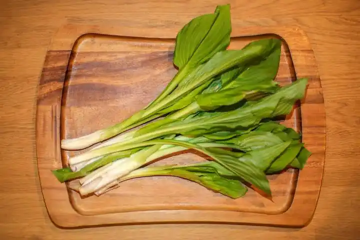 食材库:日本山菜