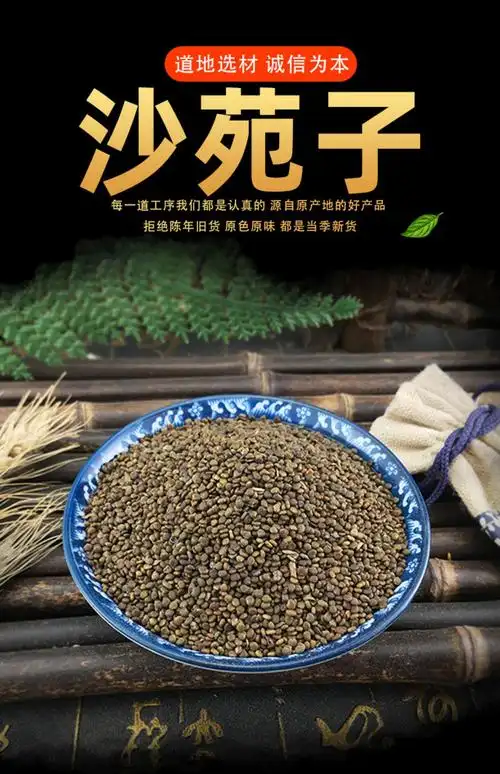 沙苑子中药材沙苑籽沙宛子可配搭陕西菟丝子韭菜籽男性五宝茶养生茶