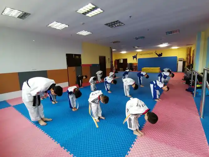 《"童"样时期"疫"样精彩》兴世纪跆拳道学期教学成果展示!