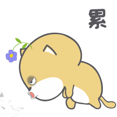 婚礼筹备省心群,新娘新郎必建的8个婚礼群,让你的婚礼更加完美