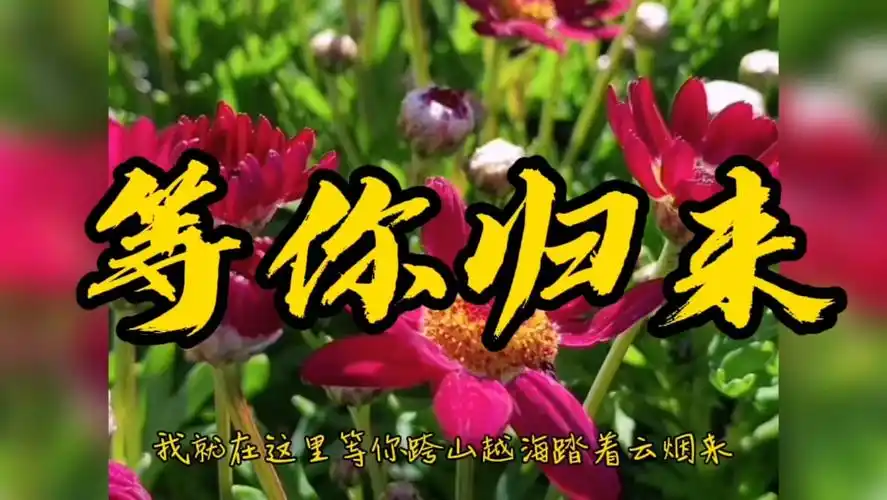 歌曲:《等你归来》原唱:程响