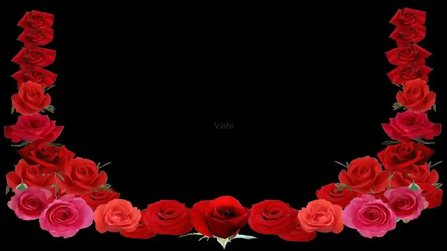 玫瑰花边框_1920x1080_高清视频素材下载(编号:3123304)_影视包装_光