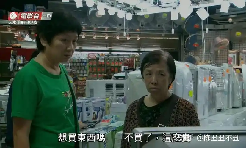 《天水围的日与夜》:导演许鞍华用镜头讲述的比情节更多