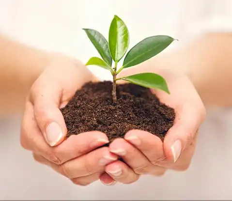 用希望的双手托起明天