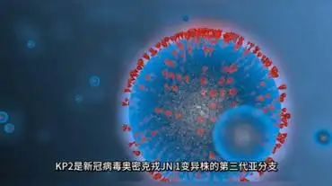 2变异株临床症状和新冠相似,表现为喉咙痛,鼻塞,流鼻涕,咳嗽,发烧