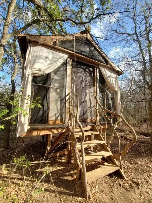 木屋营地树影作画树枝为梁自然即是美