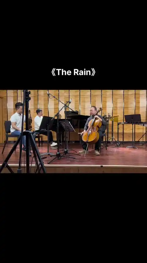 赵旭阳大提琴教学 #大提琴 #therain