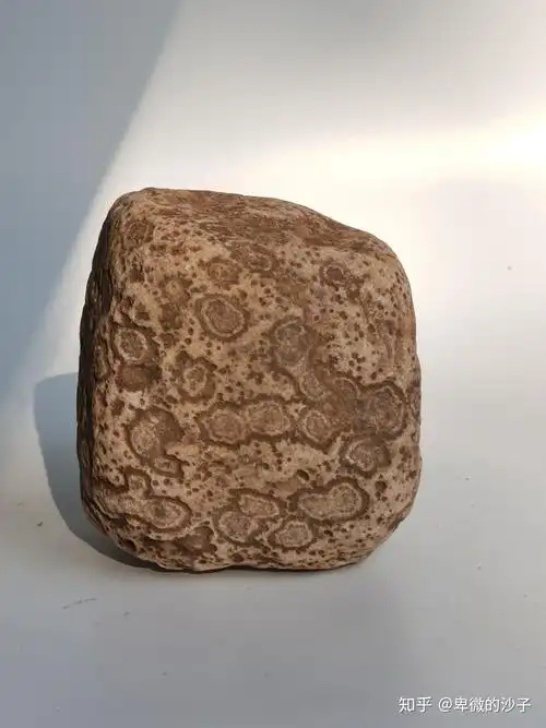 在汝州捡了几块花纹独特的石头