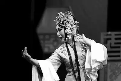 似曾相识燕归来