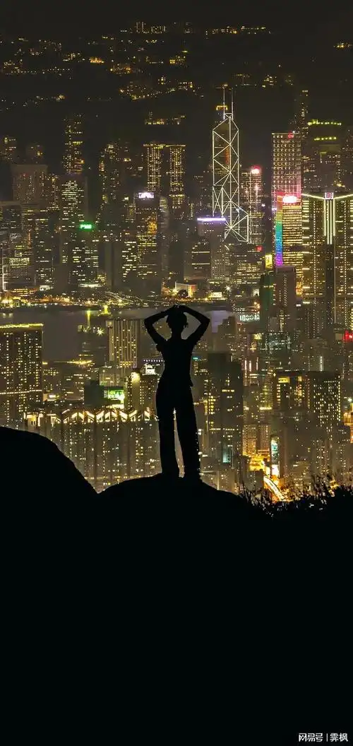 深色系壁纸如果不想被打倒只有增加自身的重量