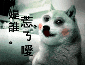 狗狗gif红脸蛋gif挤眼睛gif忘了爱是谁gif