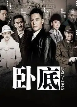 卧底(更新至40集)-全集在线观看-电视剧-爱奇艺影视大全