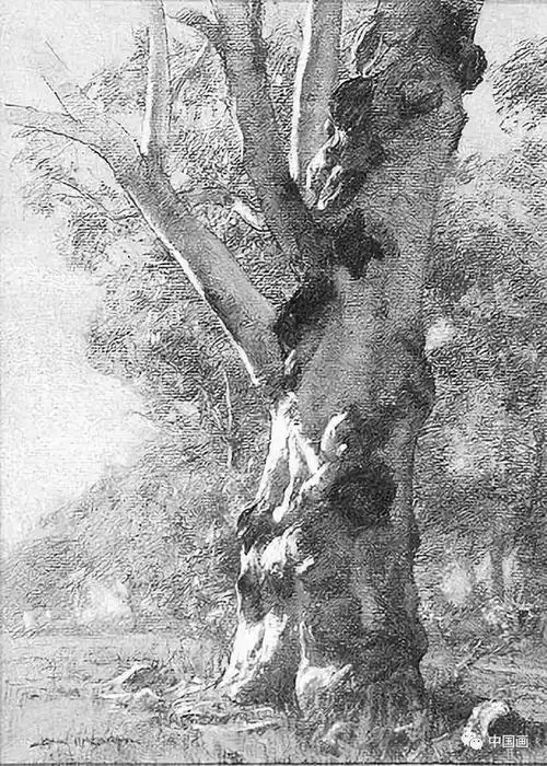 冬天画树正当时——素描大师笔下树