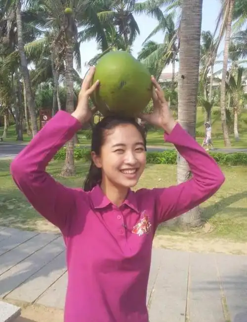 远方的家主持人唐天骄美照