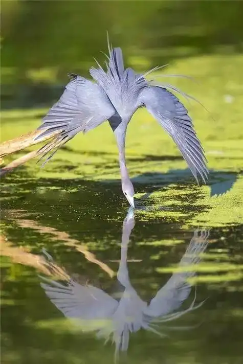 "我说,女子回眸一笑,是一种美的意境.